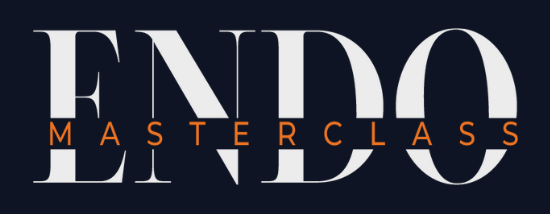 Endomasterclass |
